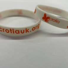 Awareness Wristband